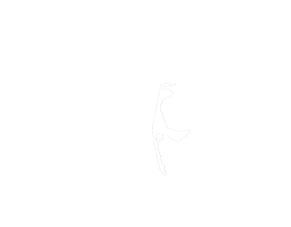 Camping Sylt Wohnwagenvermietung